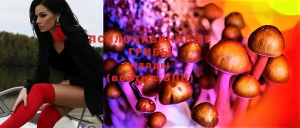 спиды Семилуки