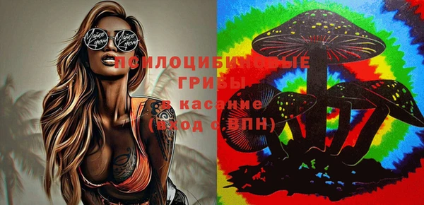 спиды Семилуки