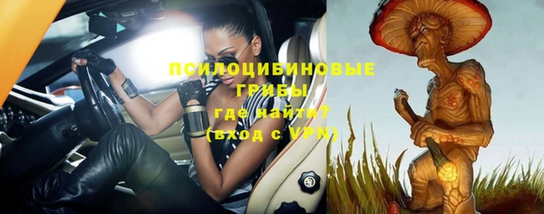 спиды Семилуки